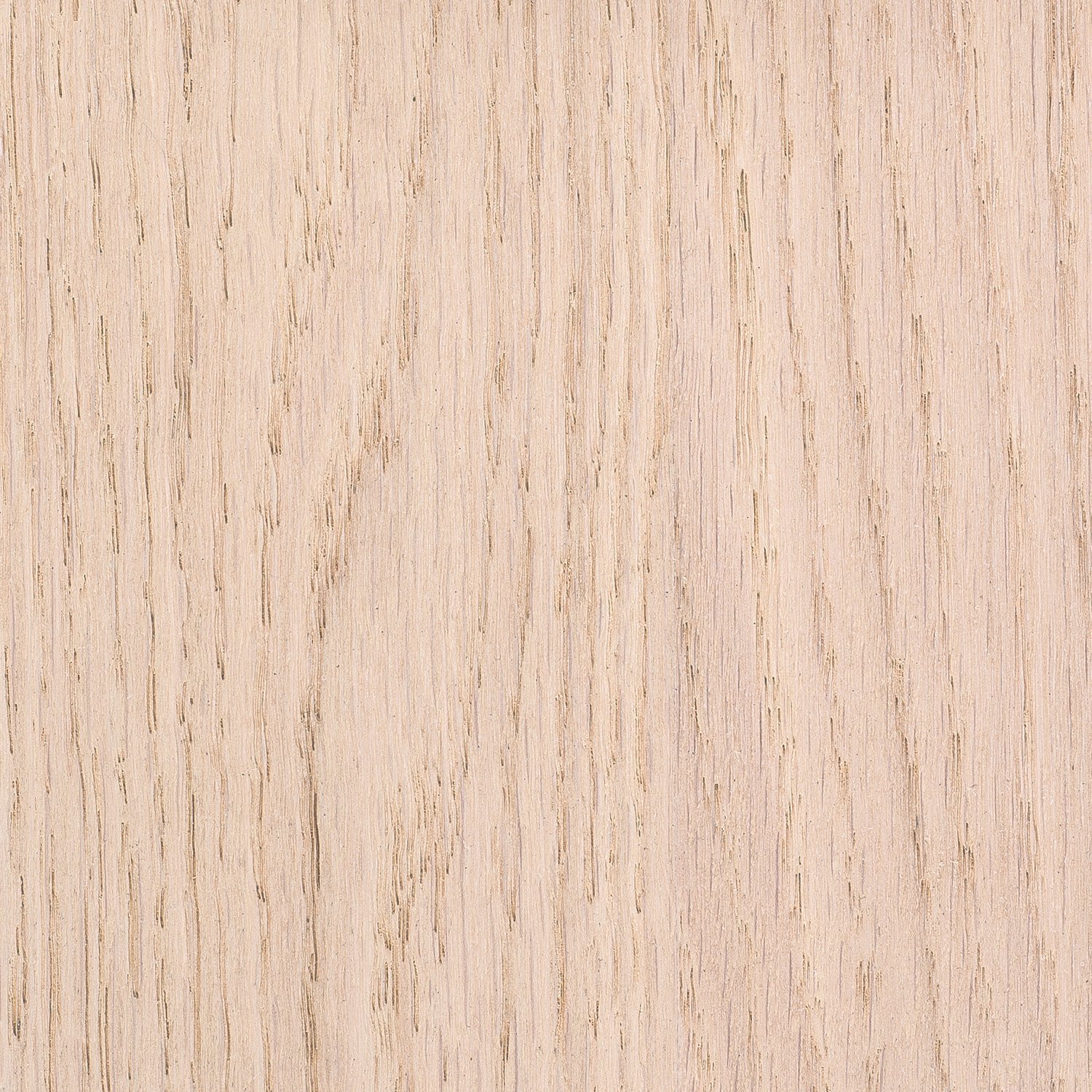 blog image 2