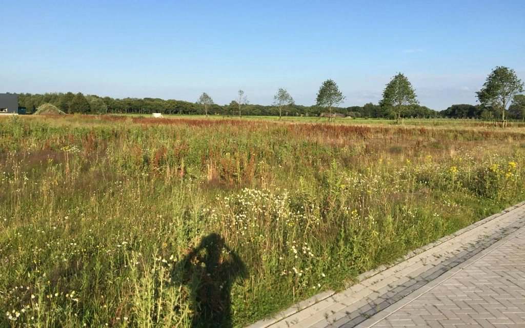 Tijdlijn-12