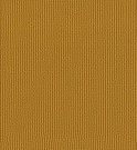 New_TDS_Mustard_New