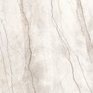 Silver root white