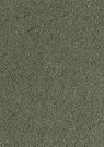 glory-thyme