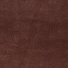 Royal_Magnolia-160