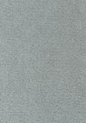 stella-lightgrey