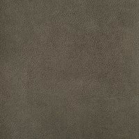 Bull-Wood108