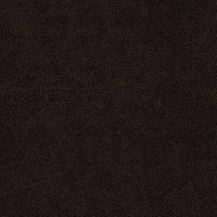 Bull_darkbrown