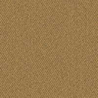 Cyber_Ocre
