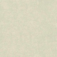 Bull_natural
