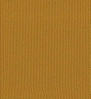 New_TDS_Mustard_New