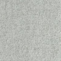 glory-shell_500x500
