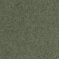 glory-thyme_500x500