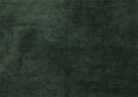 Royal_Pine 199