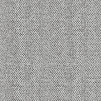 Cayenne_Grey