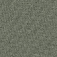 Leaf_Eucalyptus