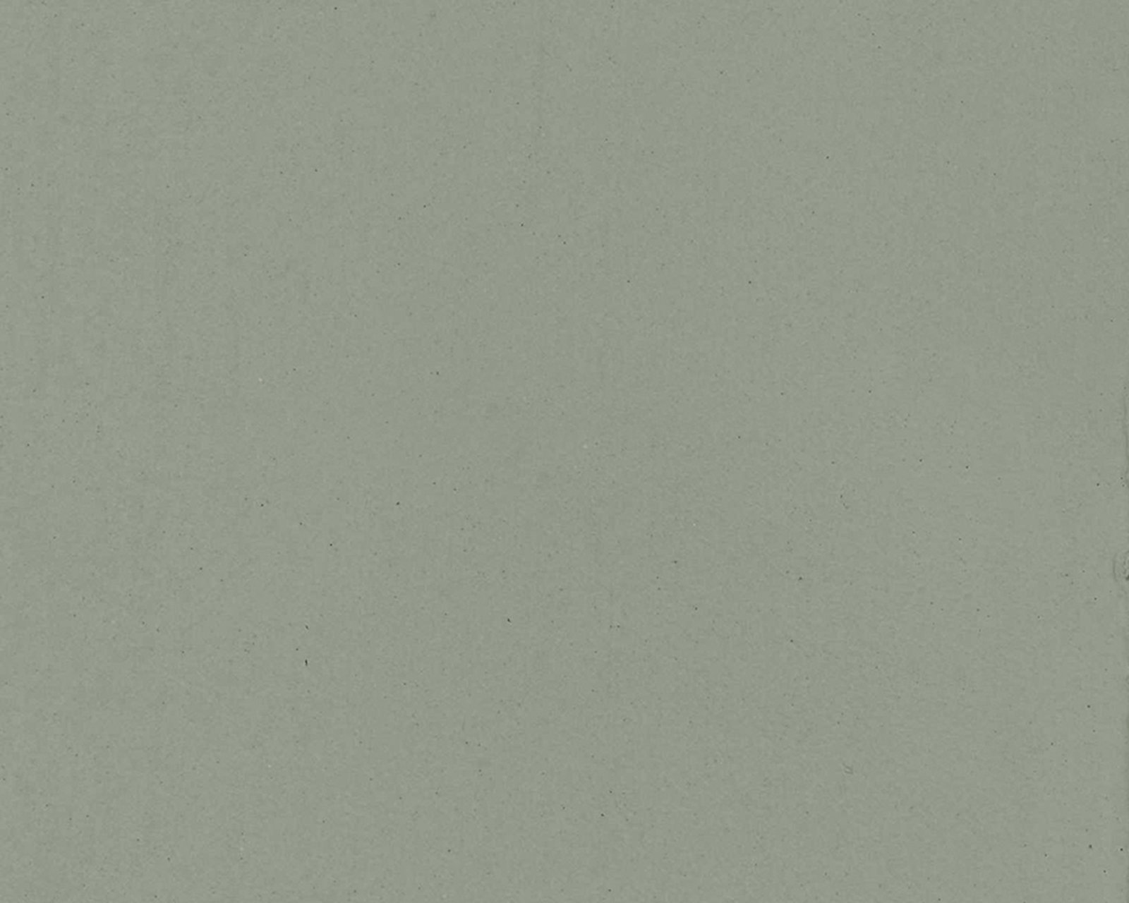 Kleur: leisteen