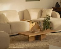 TDS_Scandi-11