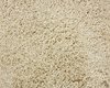 galaxy-112-tmp_2_309051
